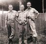 No 77 Squadron Association Milne Bay photo gallery - Milne Bay outside 77 Squadrons Sergeant's Mess cApril 1943 L to R:  Bert Leedon, Roy Young & Bob Andrew (Bob Andrew)